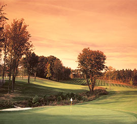 Photo of greens at Augustine Golf Club.